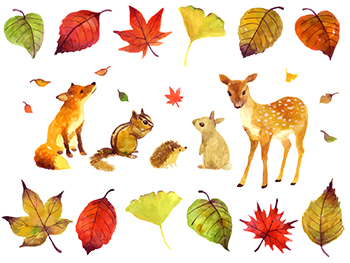 秋のイラスト