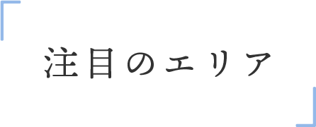 注目エリア