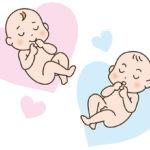 赤ちゃんの性別はいつわかる？判断できる時期と方法