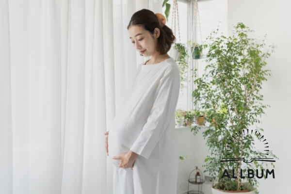 [object Object]-11857