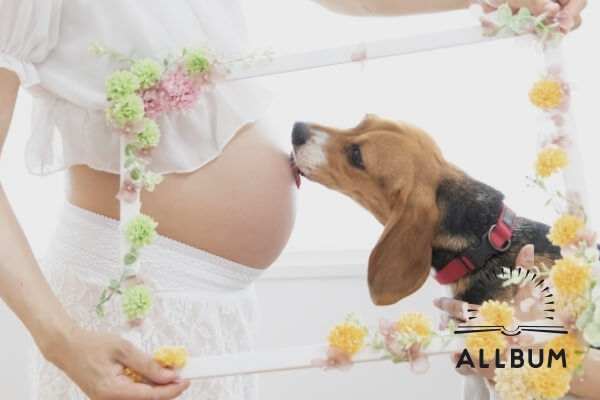 [object Object]-13867